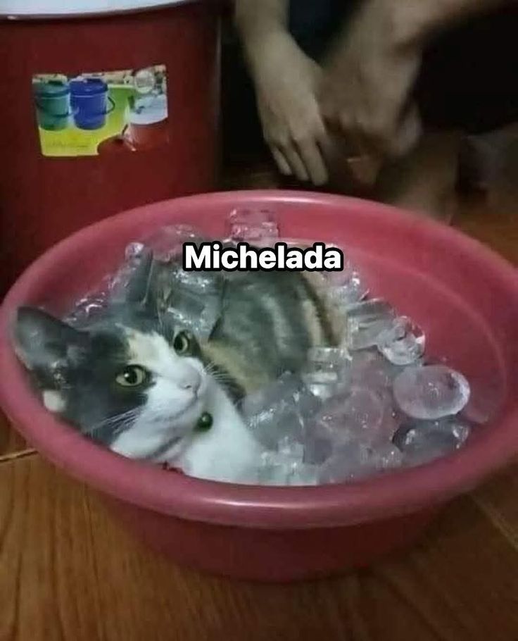 @๐ค๐ค๐ค๐ค๐ค๐ค๐ค ๐ค๐ค