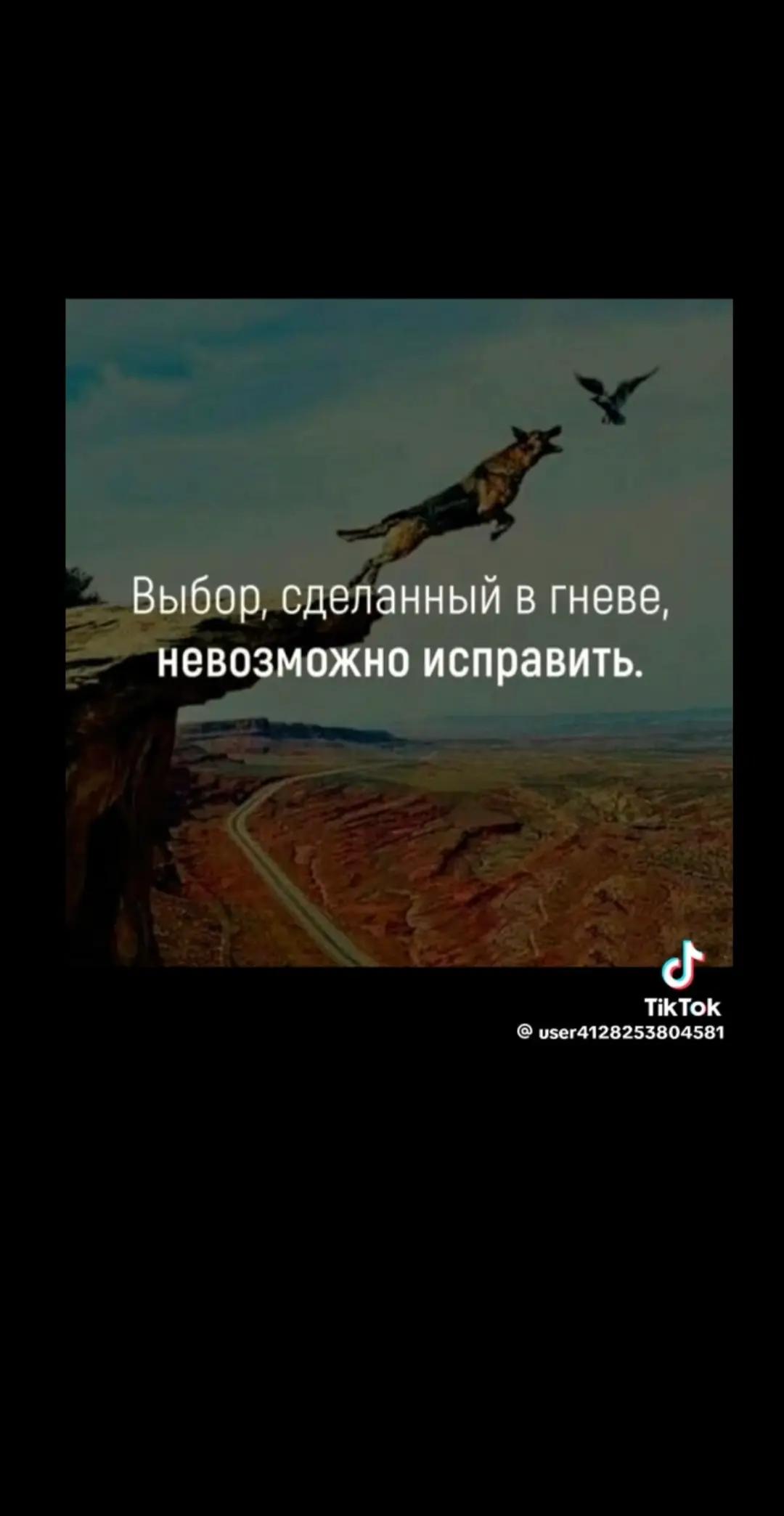 @korona