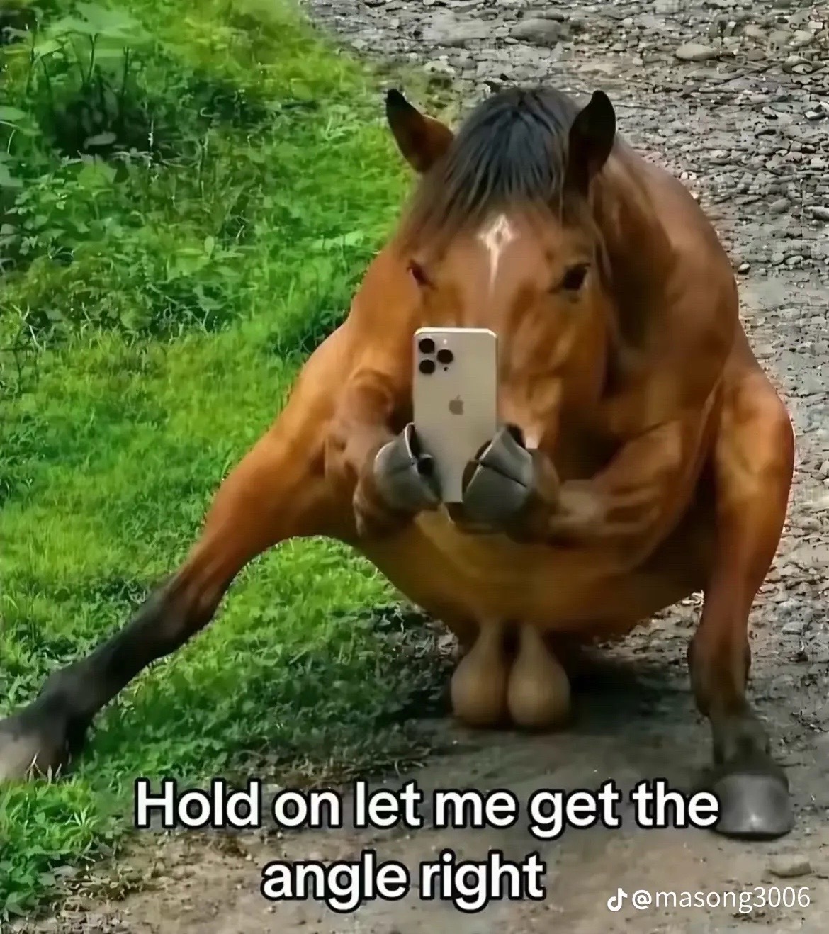 @𝒟𝒶𝓋𝑒