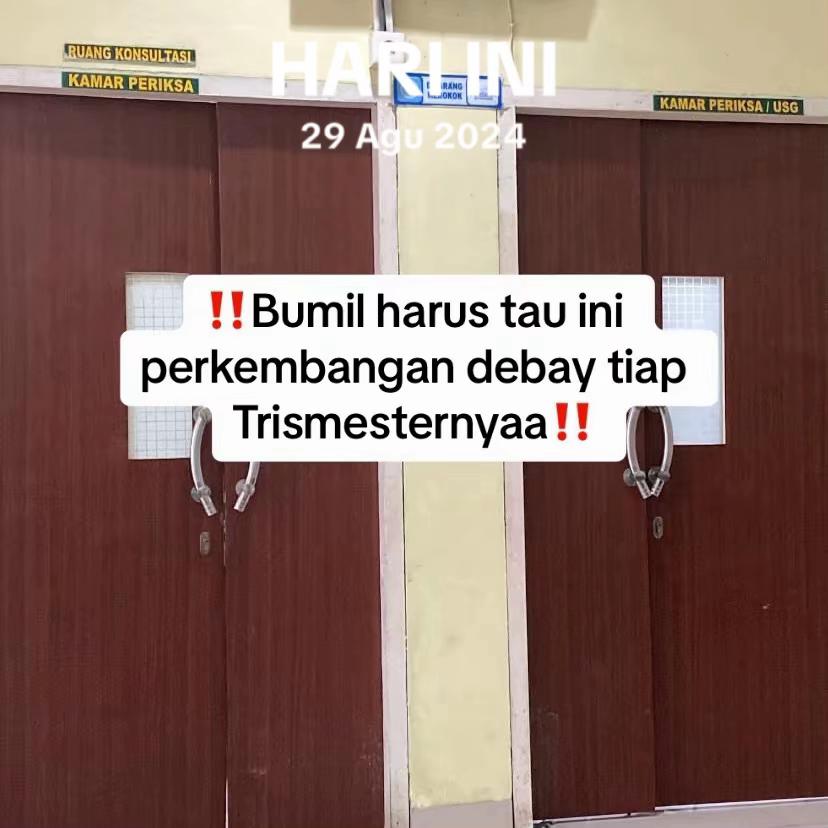 @seputarbumil