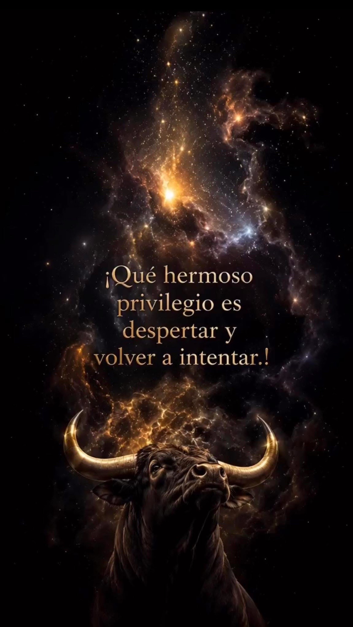 @Pedro Cruz