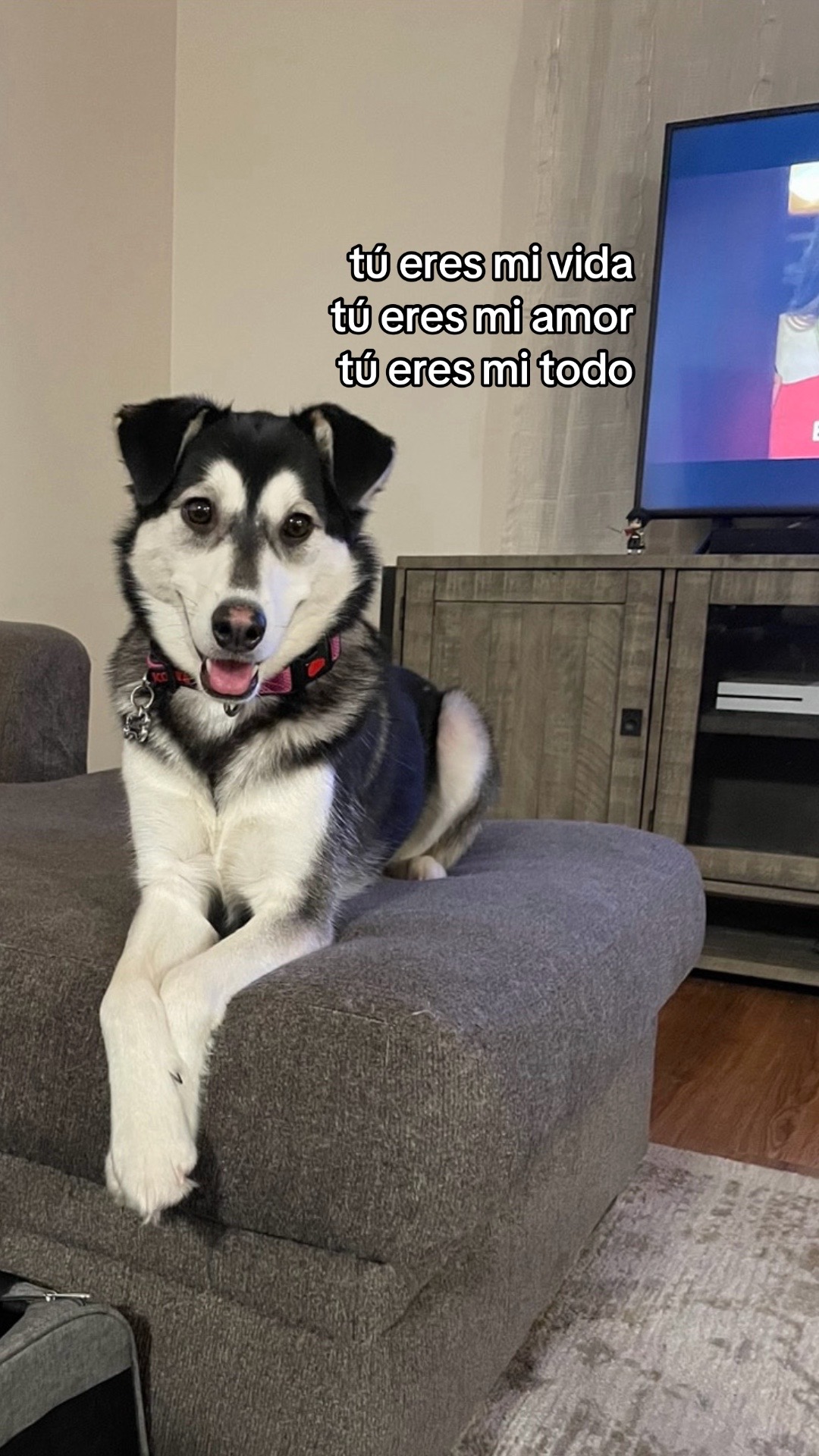 @marlene.baltazar