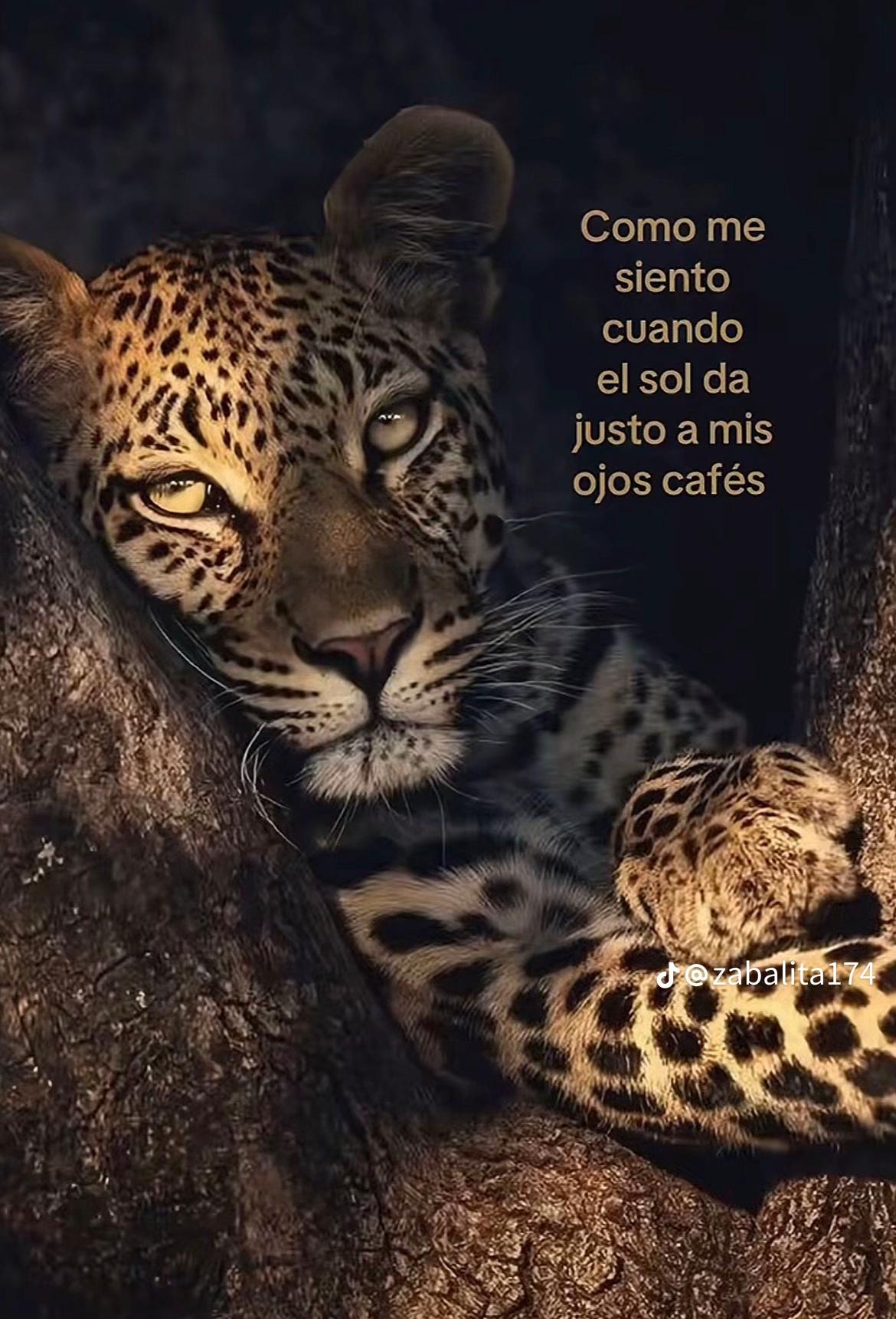 @Xiomara _12