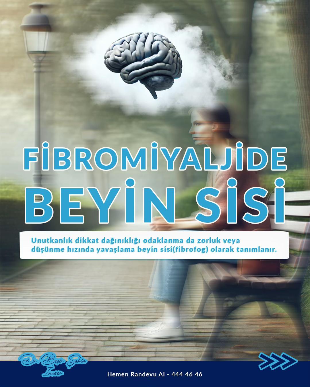 @Dr. Beşir Şahin İnceer