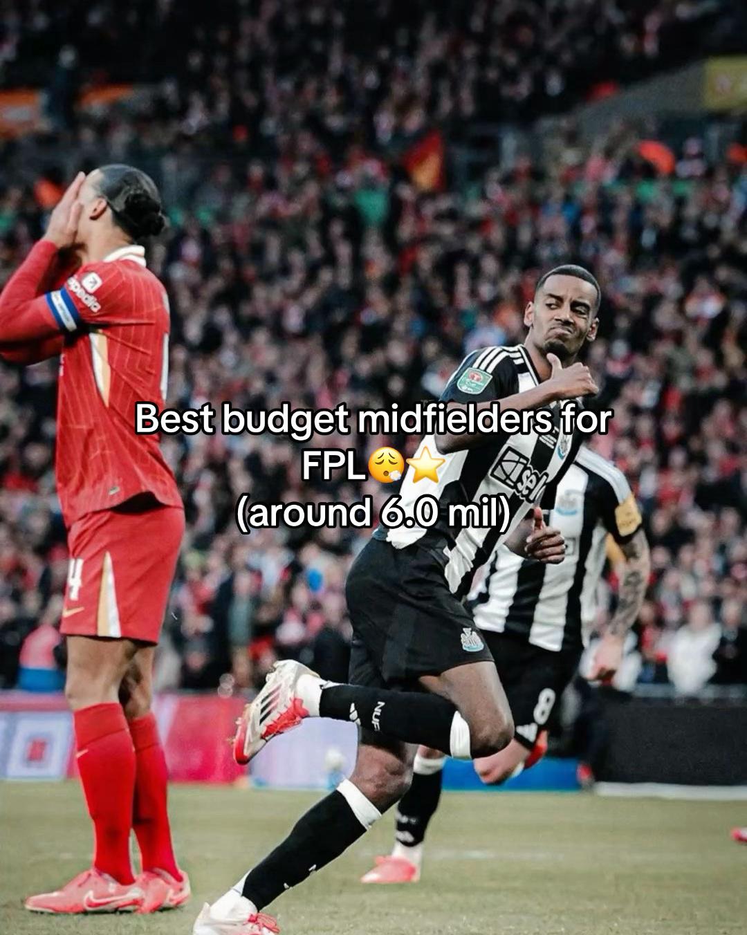 @fpltips.1