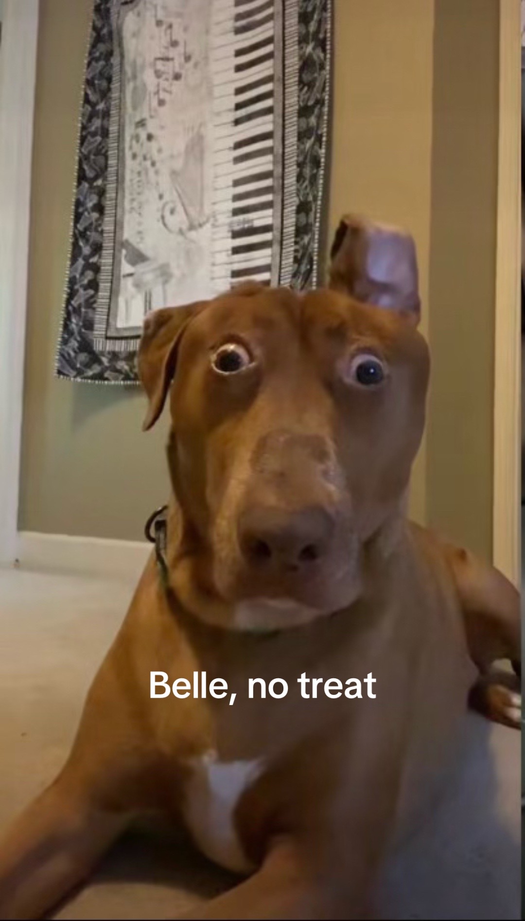 @Belle O’Neill