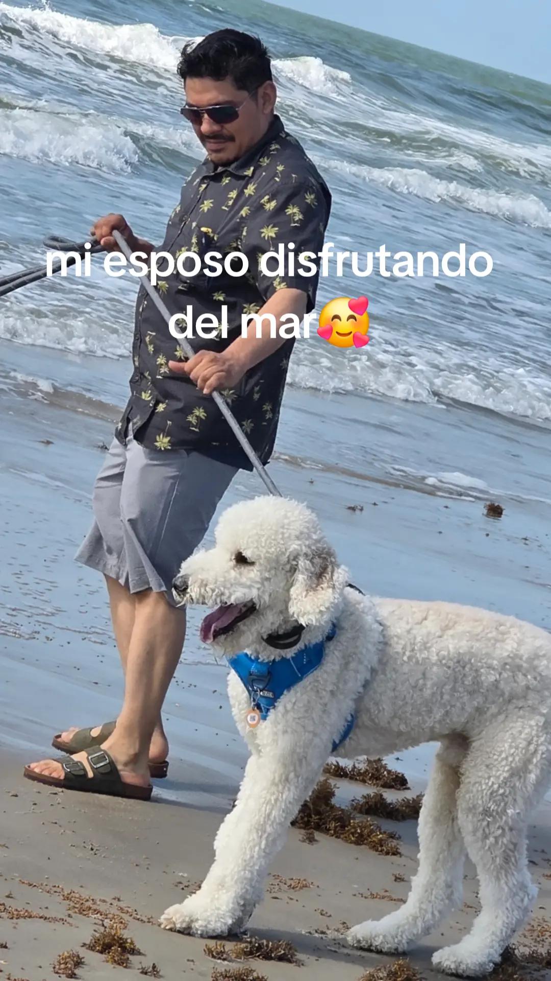@chaparritadeortiz777