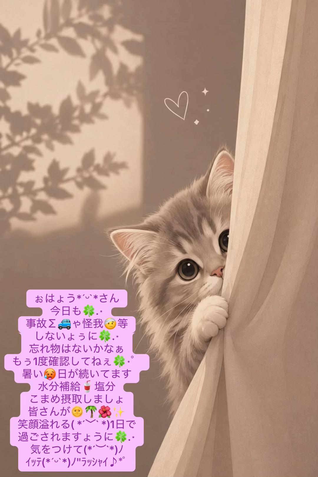 @coo~ꕤ୭*