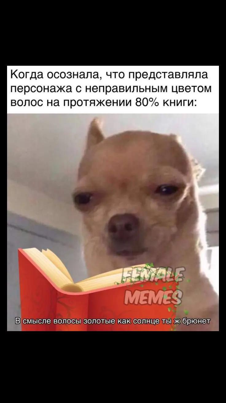 @(づ｡◕‿‿◕｡)づ