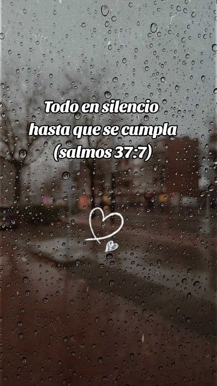 @Andreina Liendo 🌺