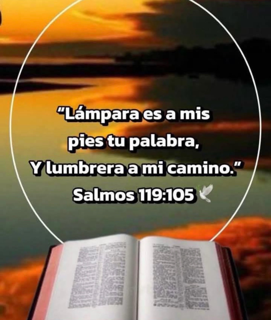 @Fernando