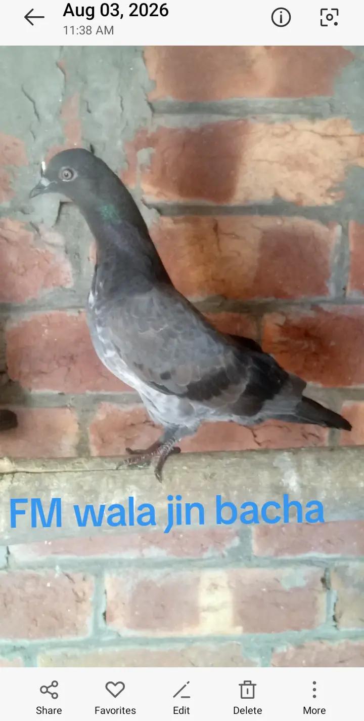 @Vicky143