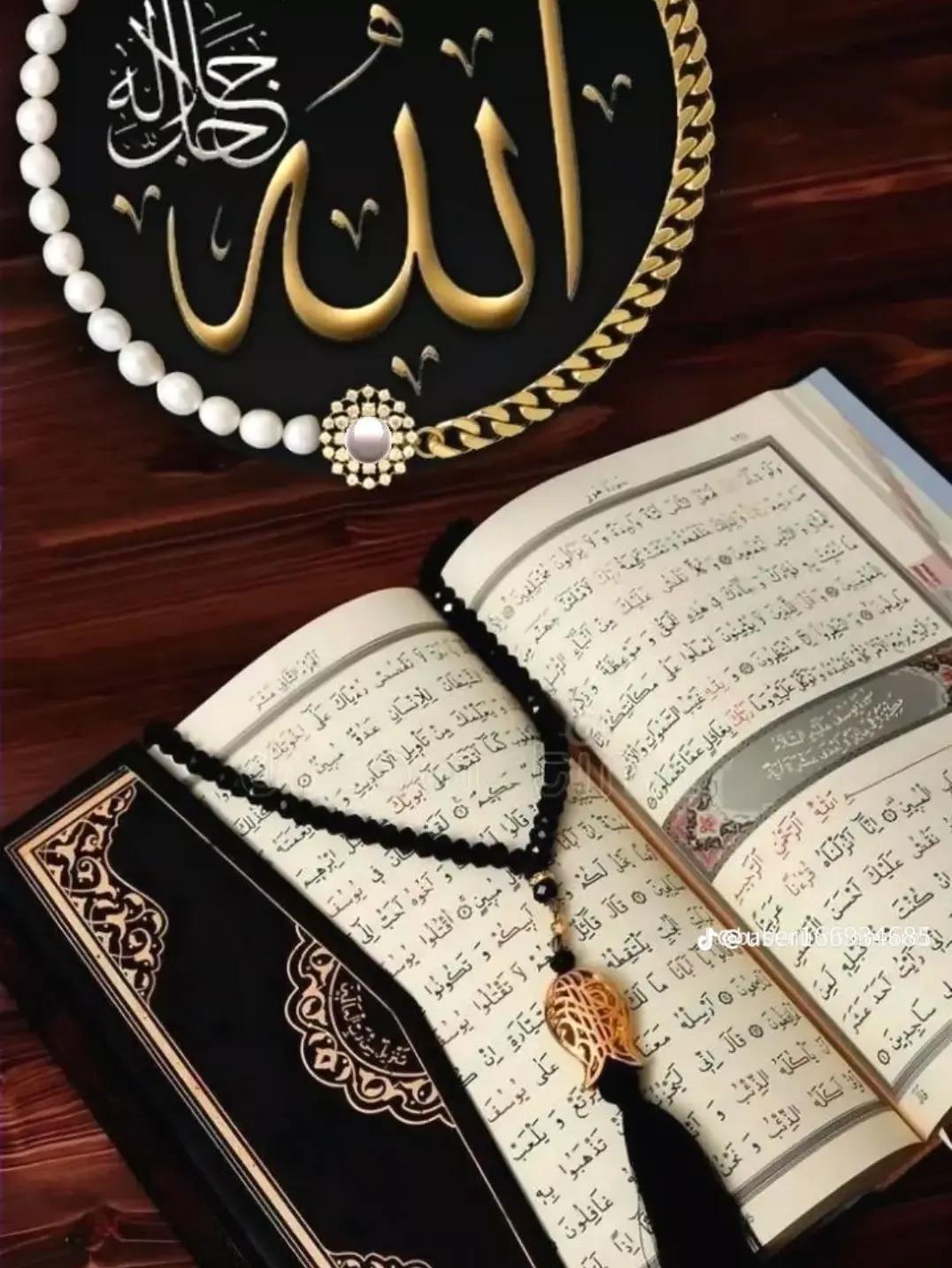 @🫶 🌹মোহাম্মদশরিফ 🫶❤️🥰🌹