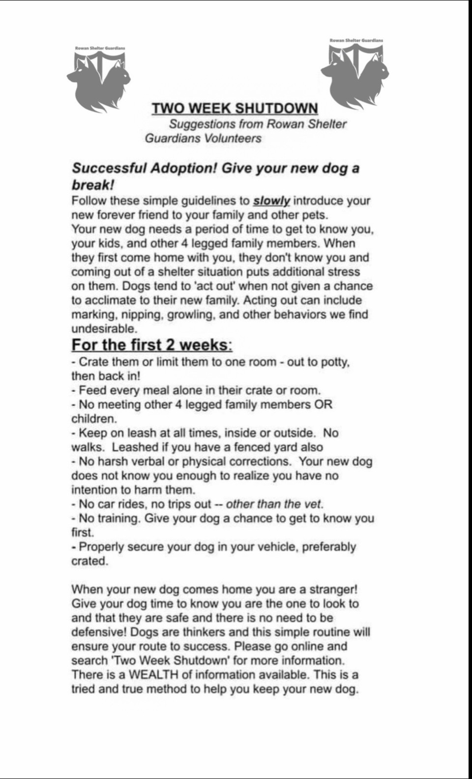 @Crazy Dog Lady