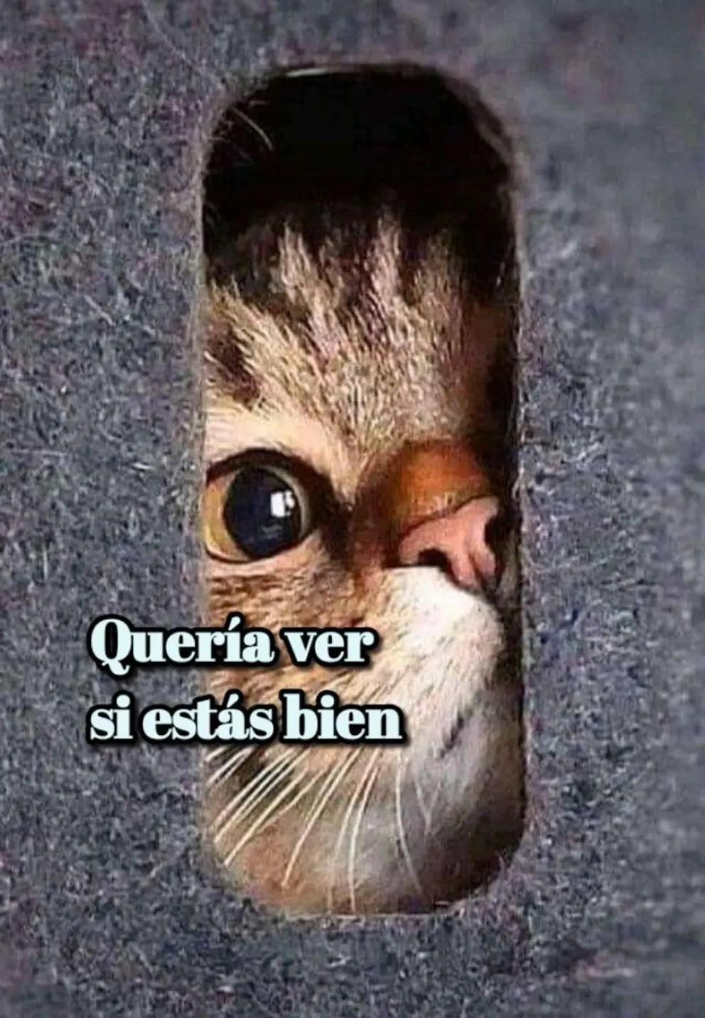 @Ingrid Moreno