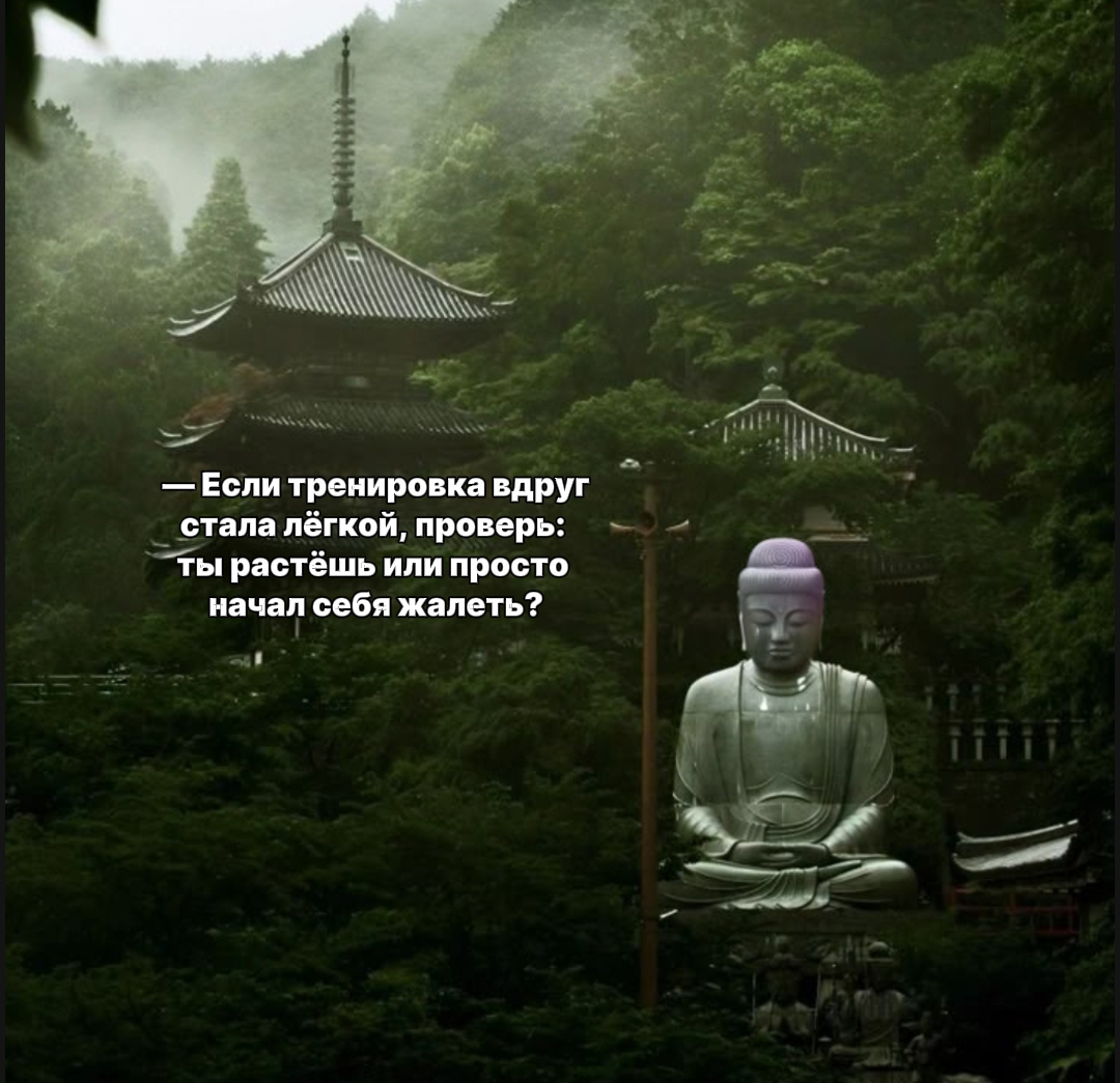 @𝓥𝓮𝓵𝓸𝒻𝓵𝓮𝓍
