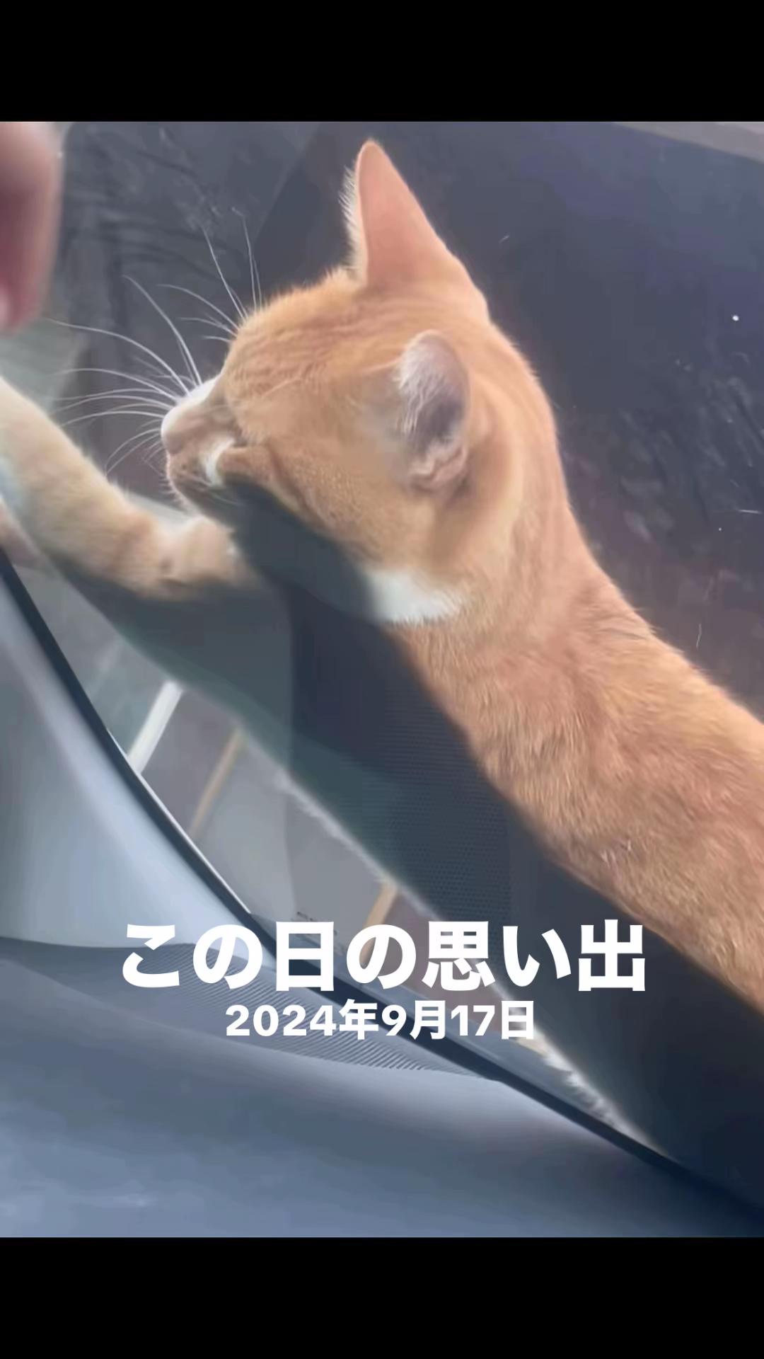 @藤原 政宗 動物好き❤️飛行機好き❤️