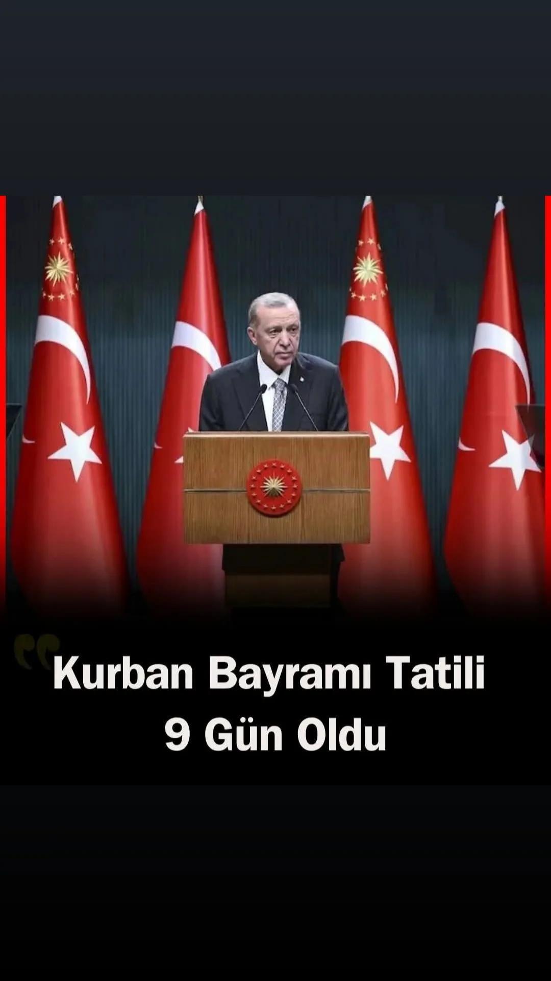 @mesut s&uuml;zener