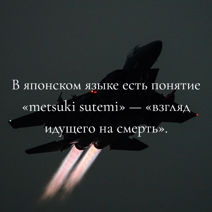@𝑆𝑛𝑖𝑘
