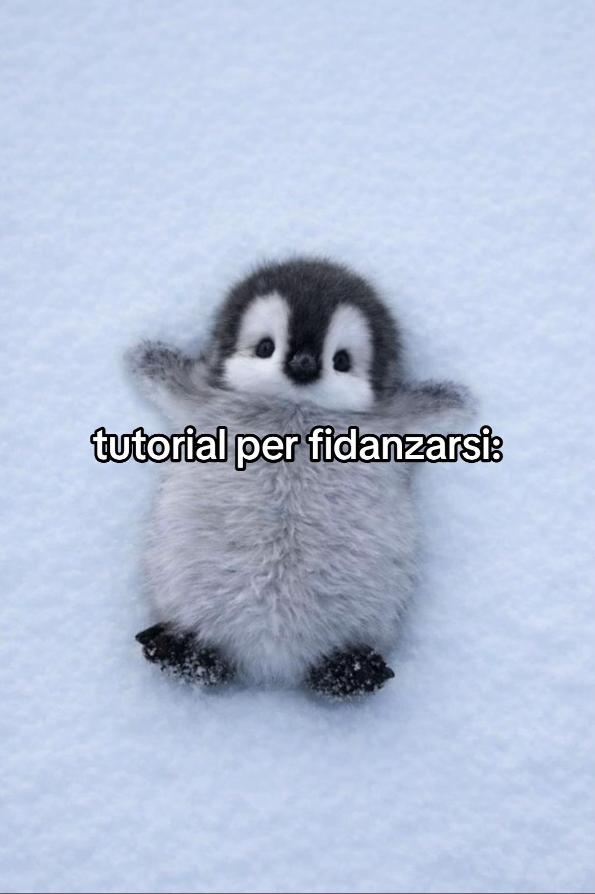 @sofii