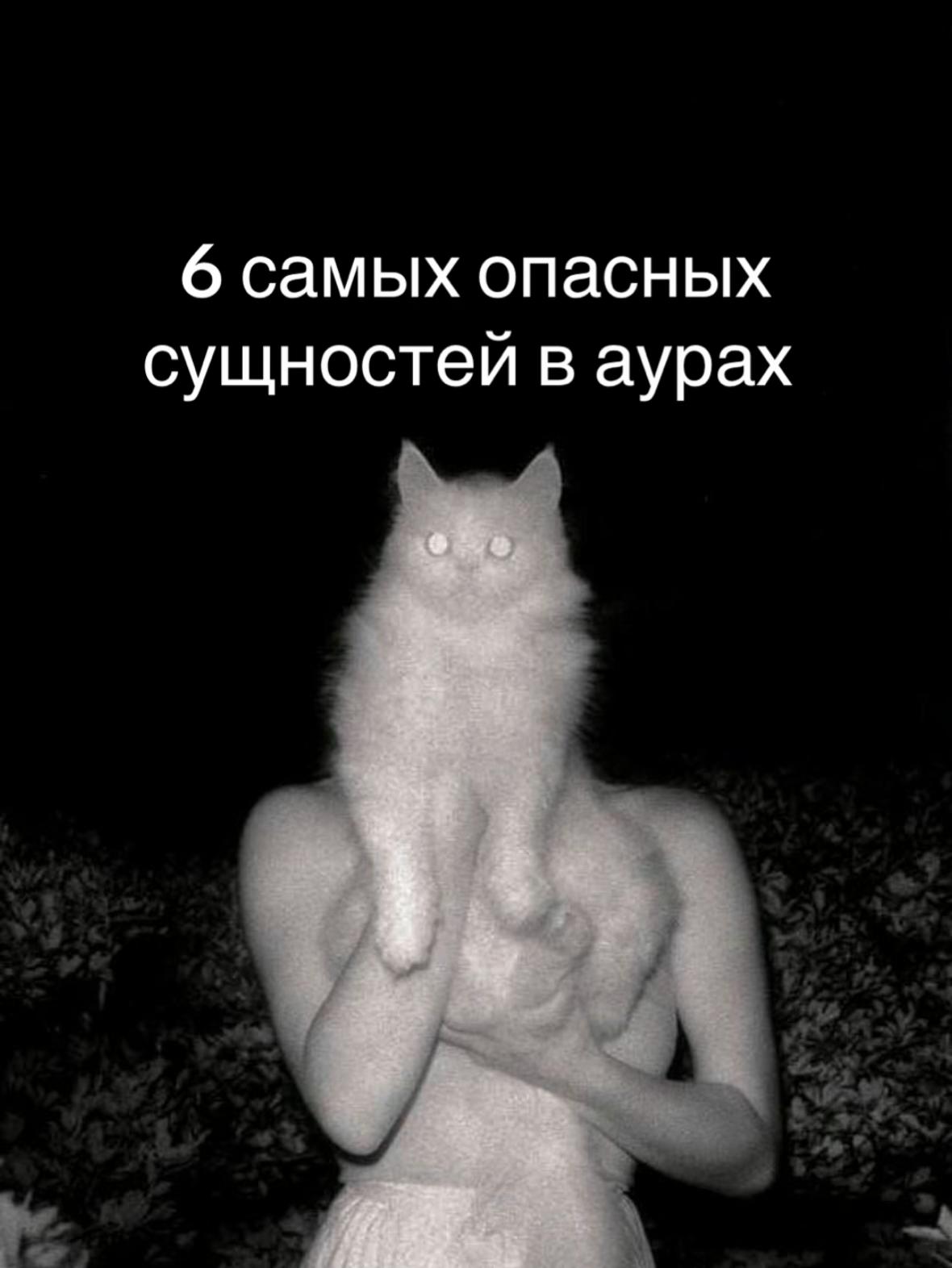 @Тгк arcana_18 🇺🇦🇰🇿