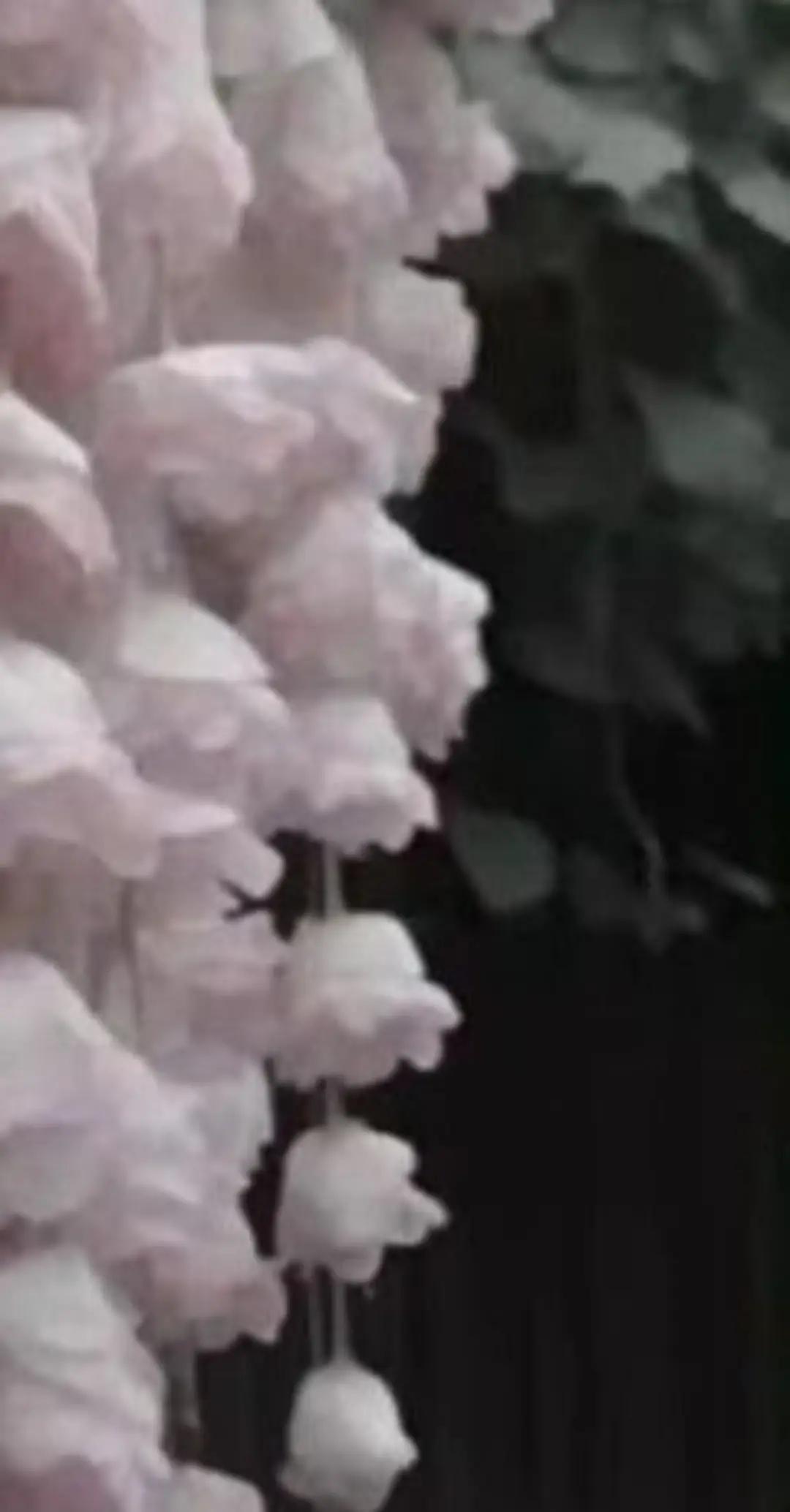 @𝚖𝚒𝚏𝚏𝚒𝚎 ˗ˋˏ ♡ ˎˊ˗