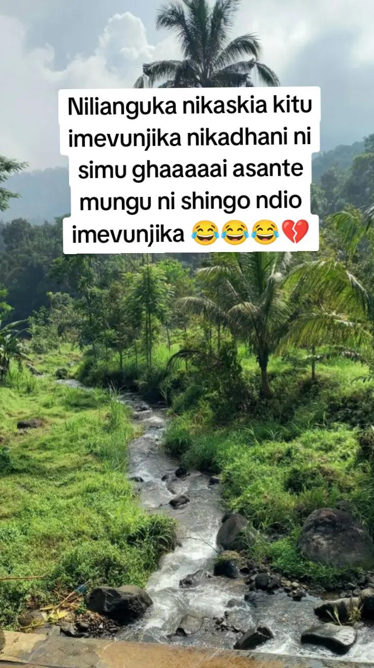 @Jay jay 🫠🇰🇪