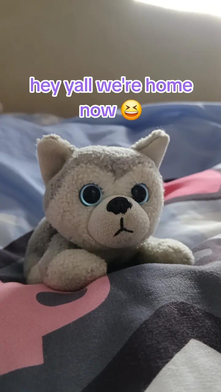 @Peppermint🐺🍥