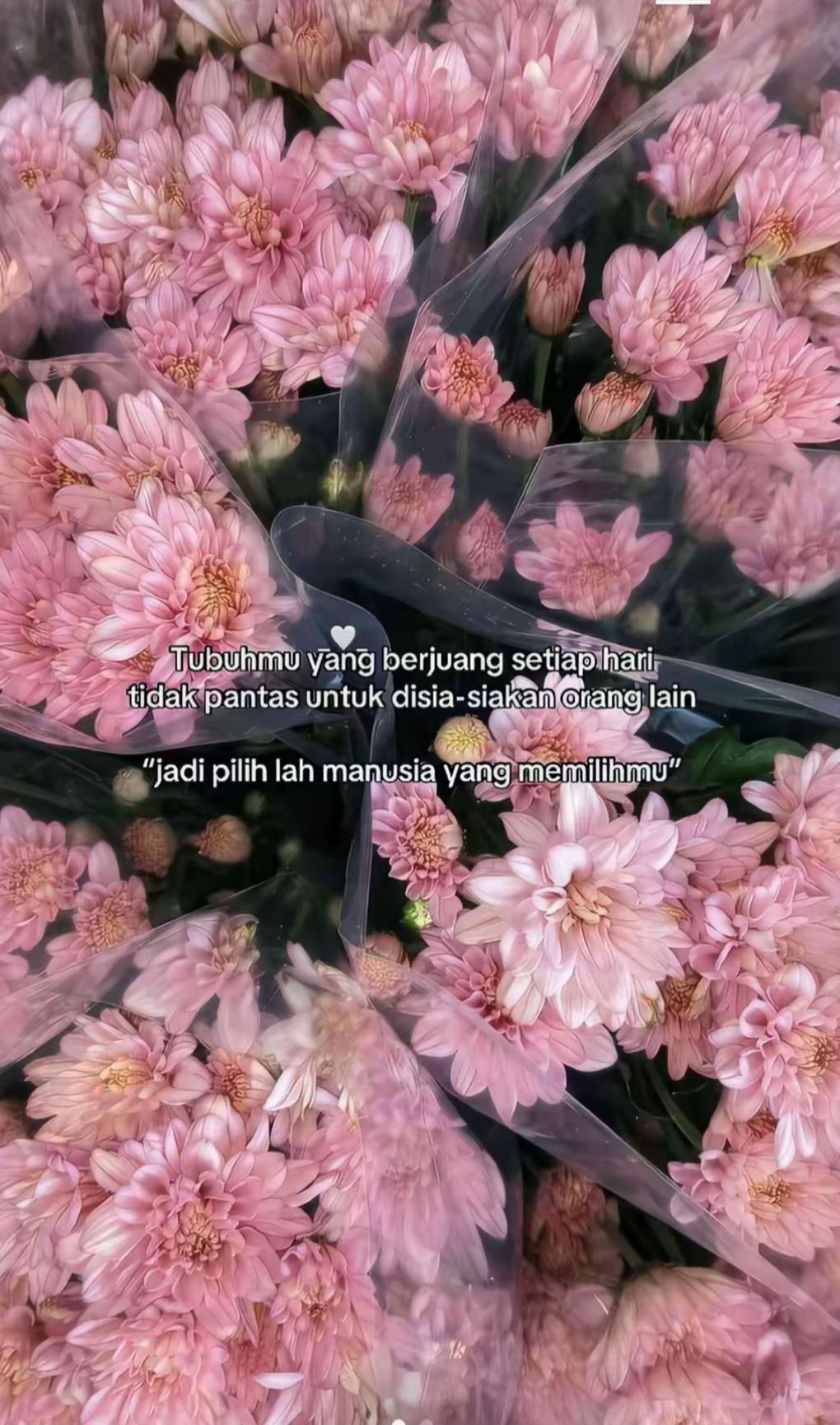@indhhhhh