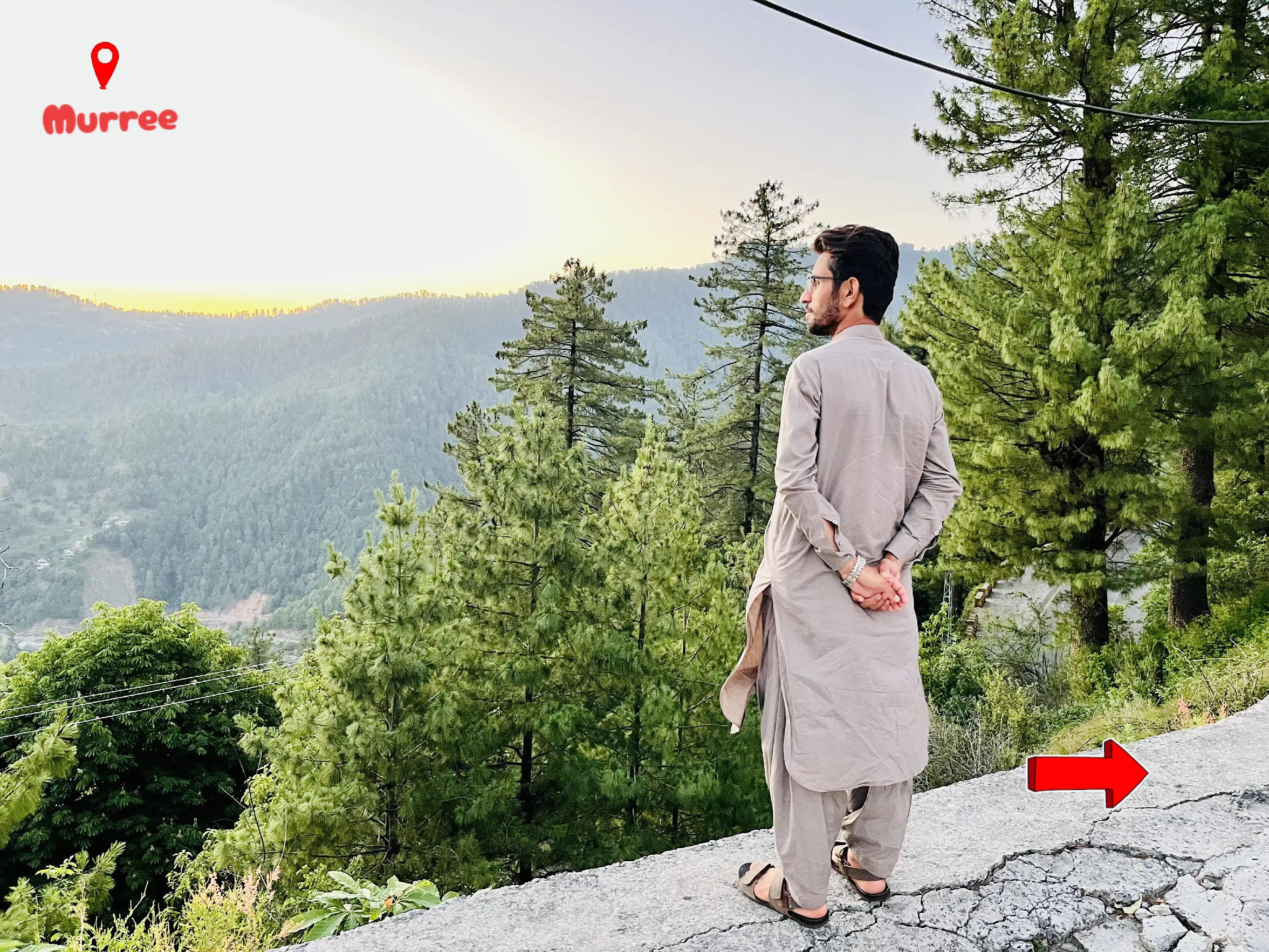 @iAsifSherani