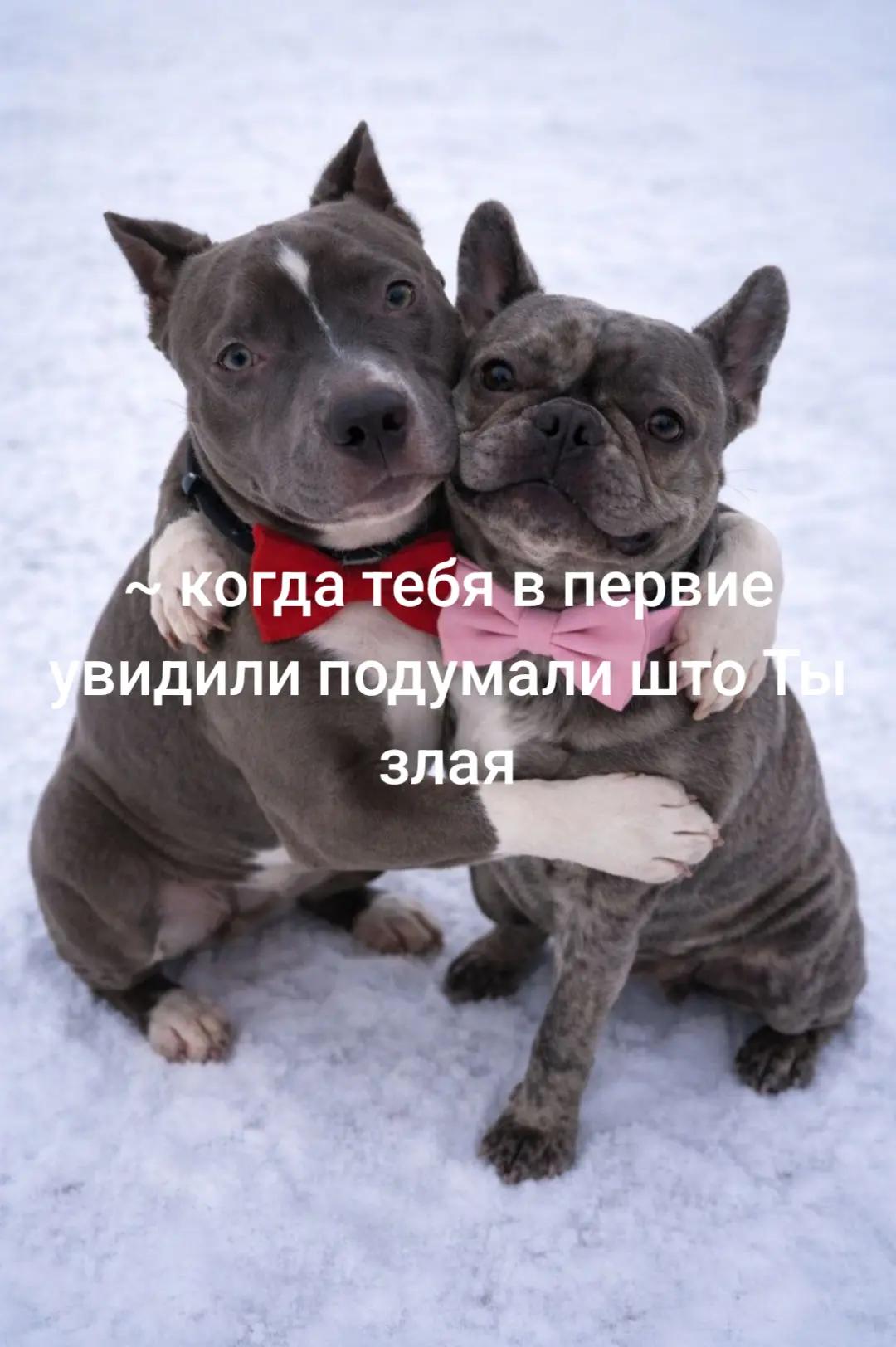 @Я У МАМИ НЕЖДАНЧИК😝