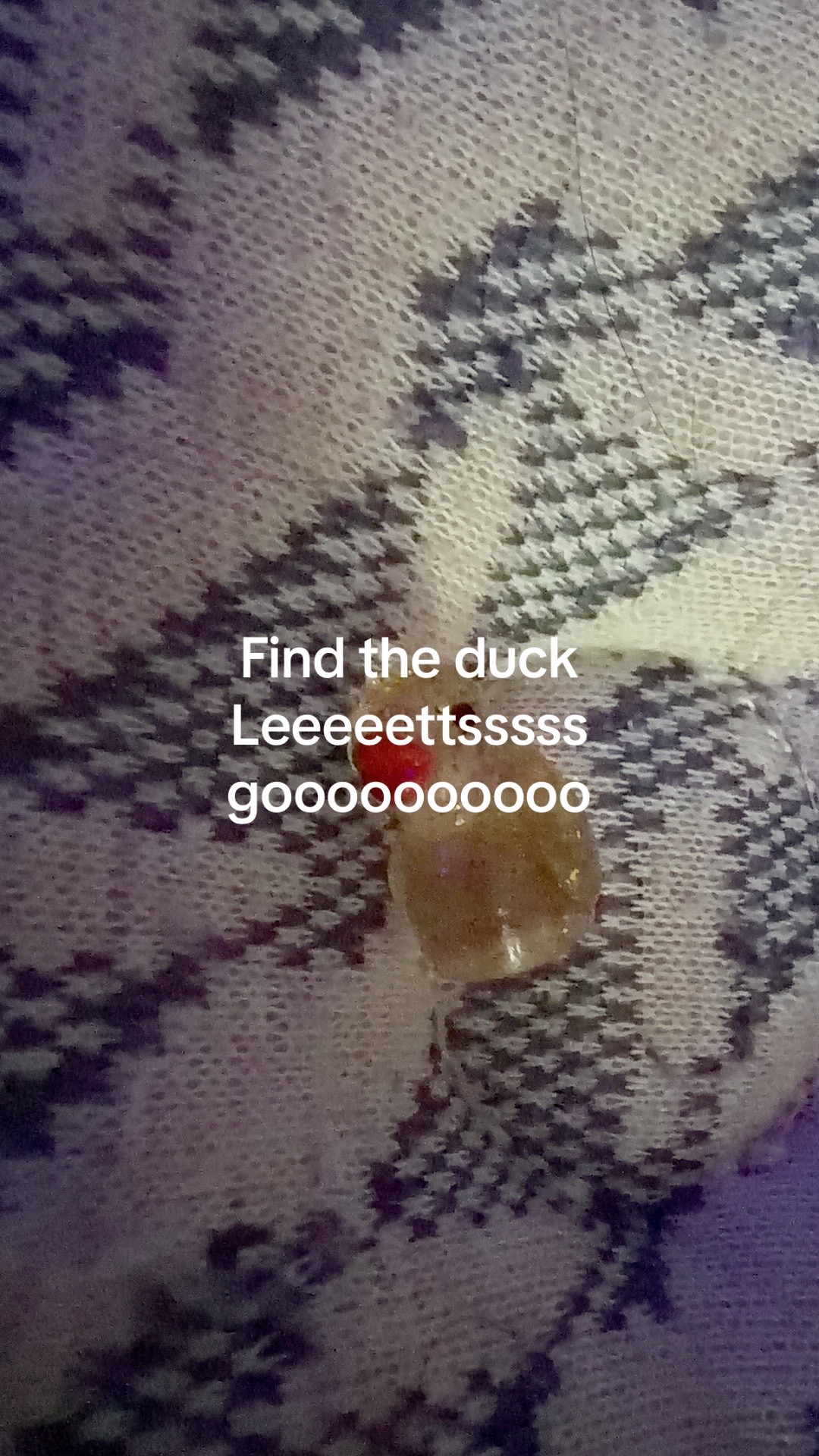 @danimal7272