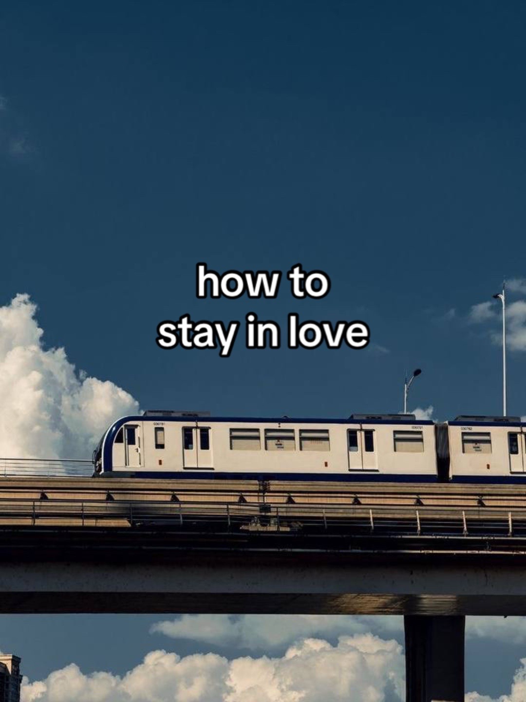 @aves