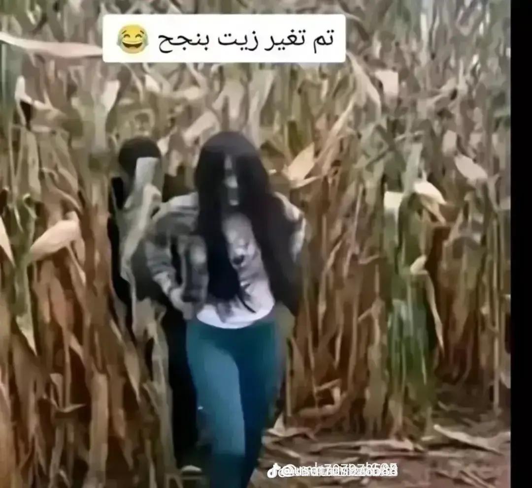@كامل القط❤💯😜