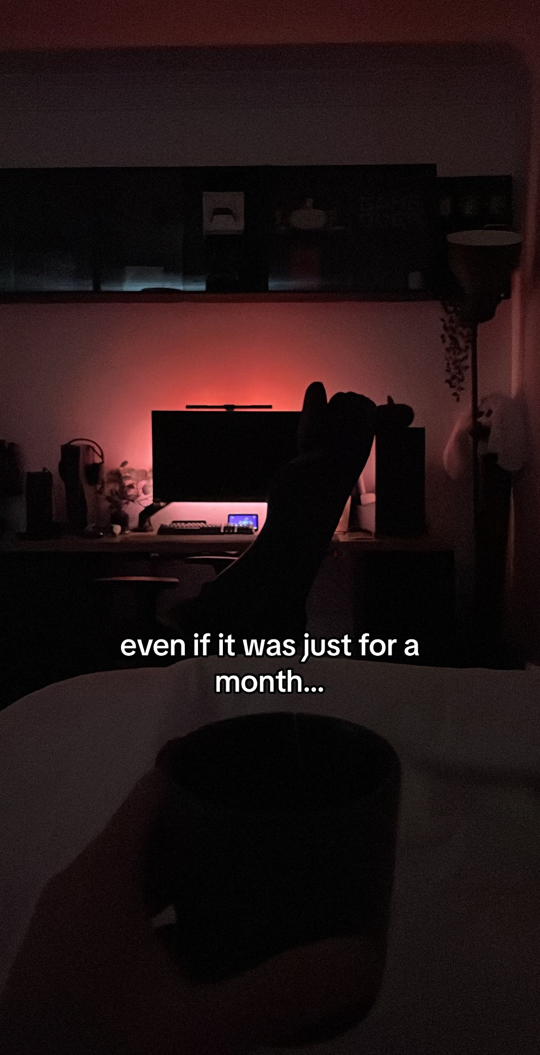 @Ron🦇