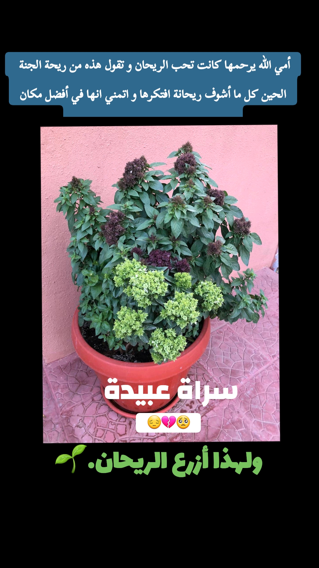 @القحطاني  🙋&zwj;♂️ 💮