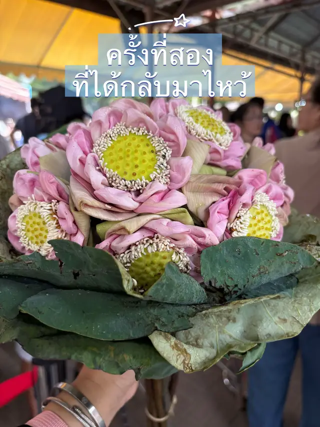 @Siri_Toyota