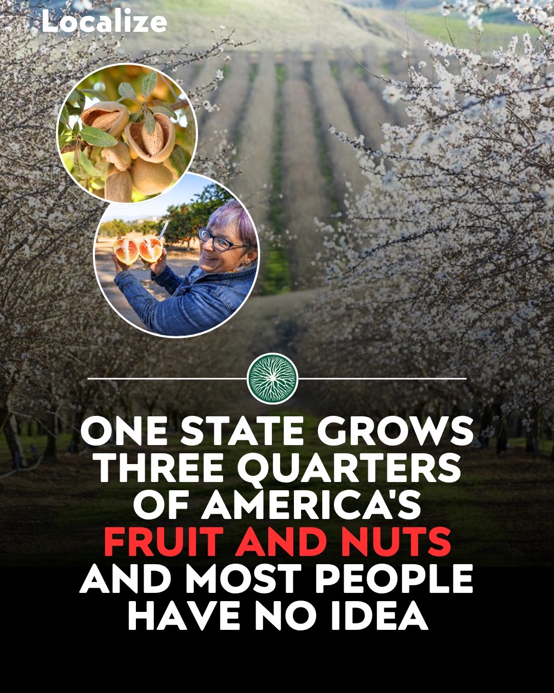 @Localize - Farmers Market