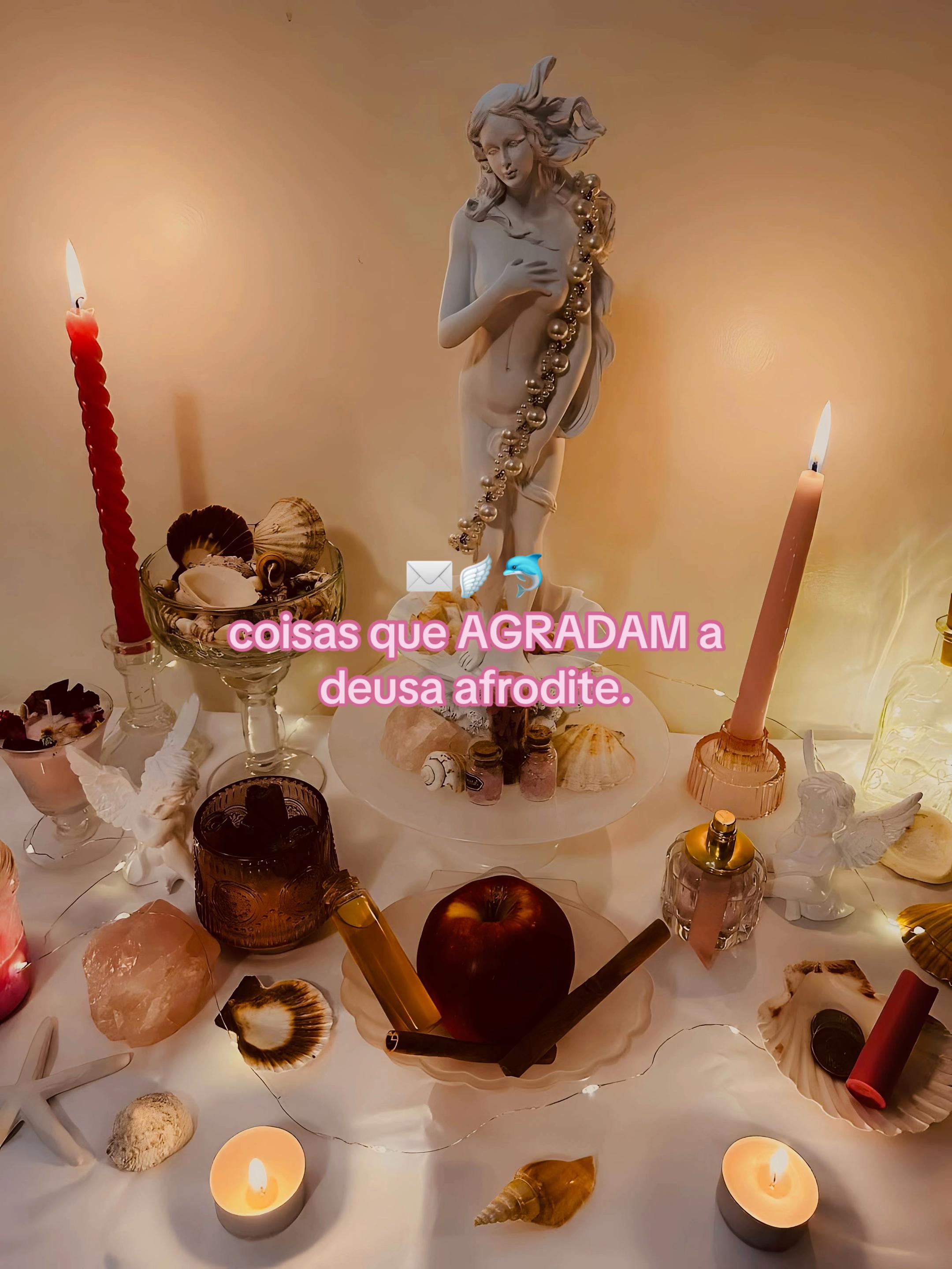 @VENUS ⋆˚꩜。