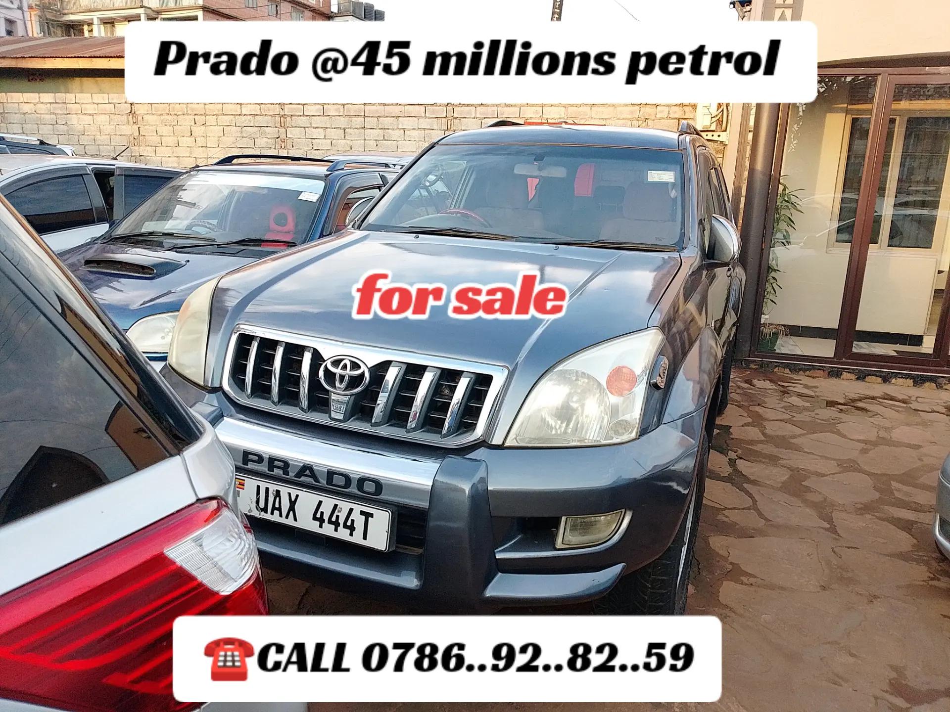 @OZEI SULA MOTORS