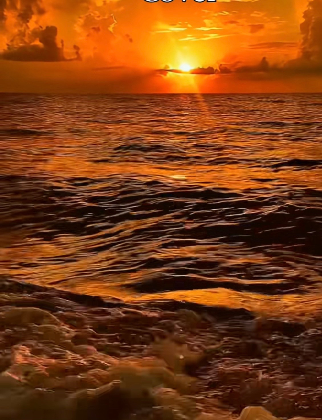 @ANGIE 👑🦅🦋✝️🦀🩷💚💙💜