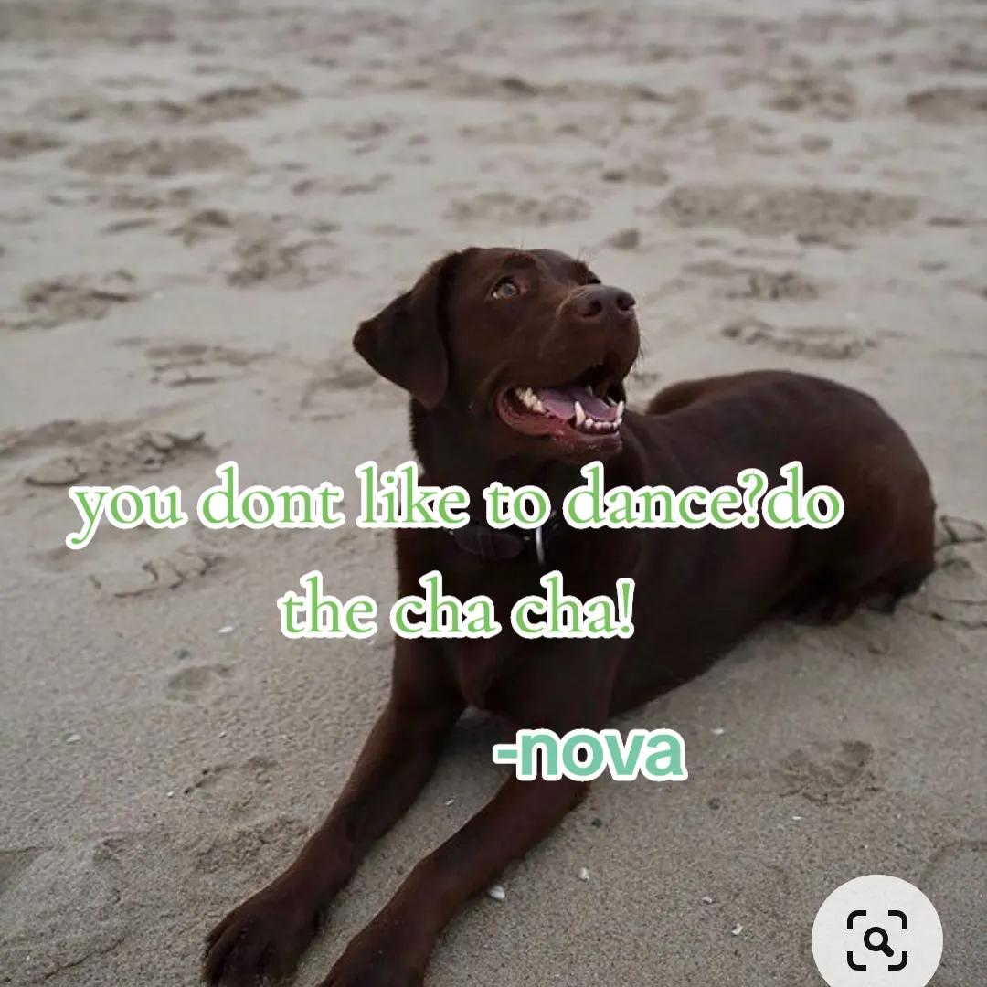 @🐾🌪️~Karma~🌪️🐾