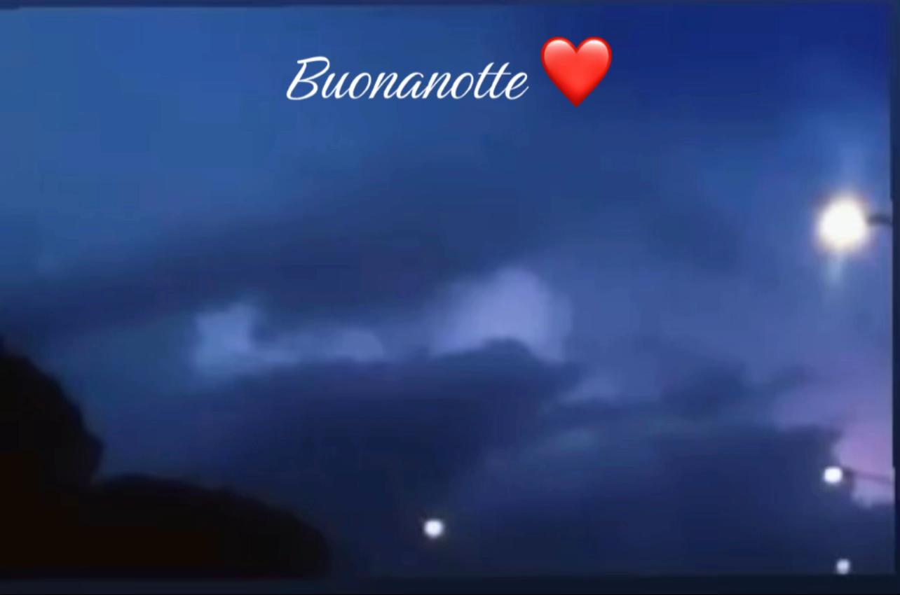 @marcellapinna352