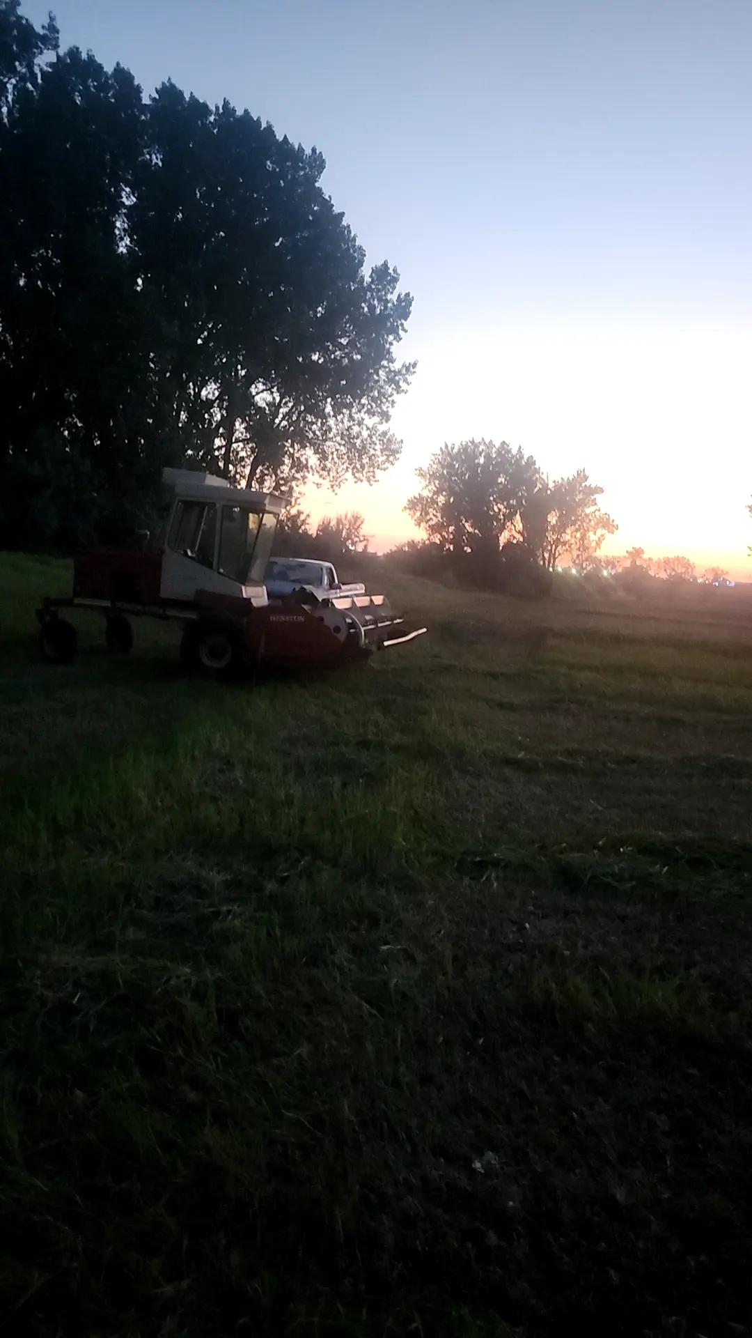 @bigdaddydodge69