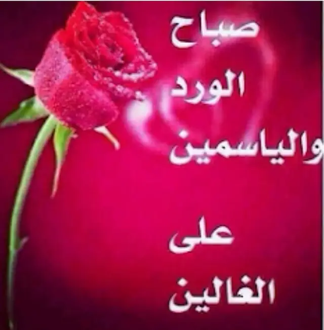 @Manar k m