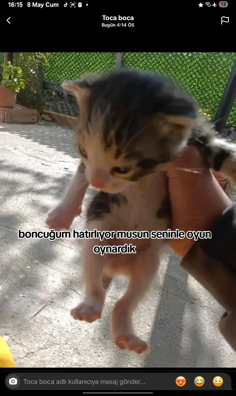 @BONCUK İÇİN DESTEK🕊🕊😭