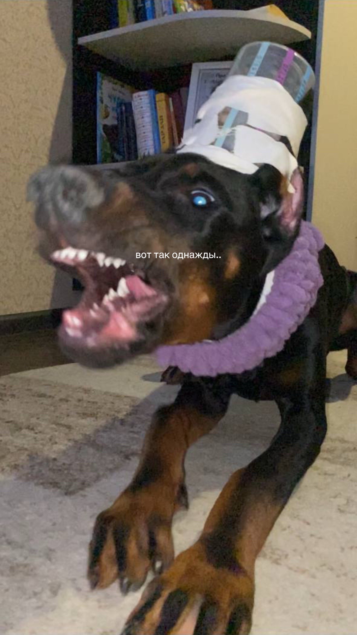 @‼️тг: grandorf‼️