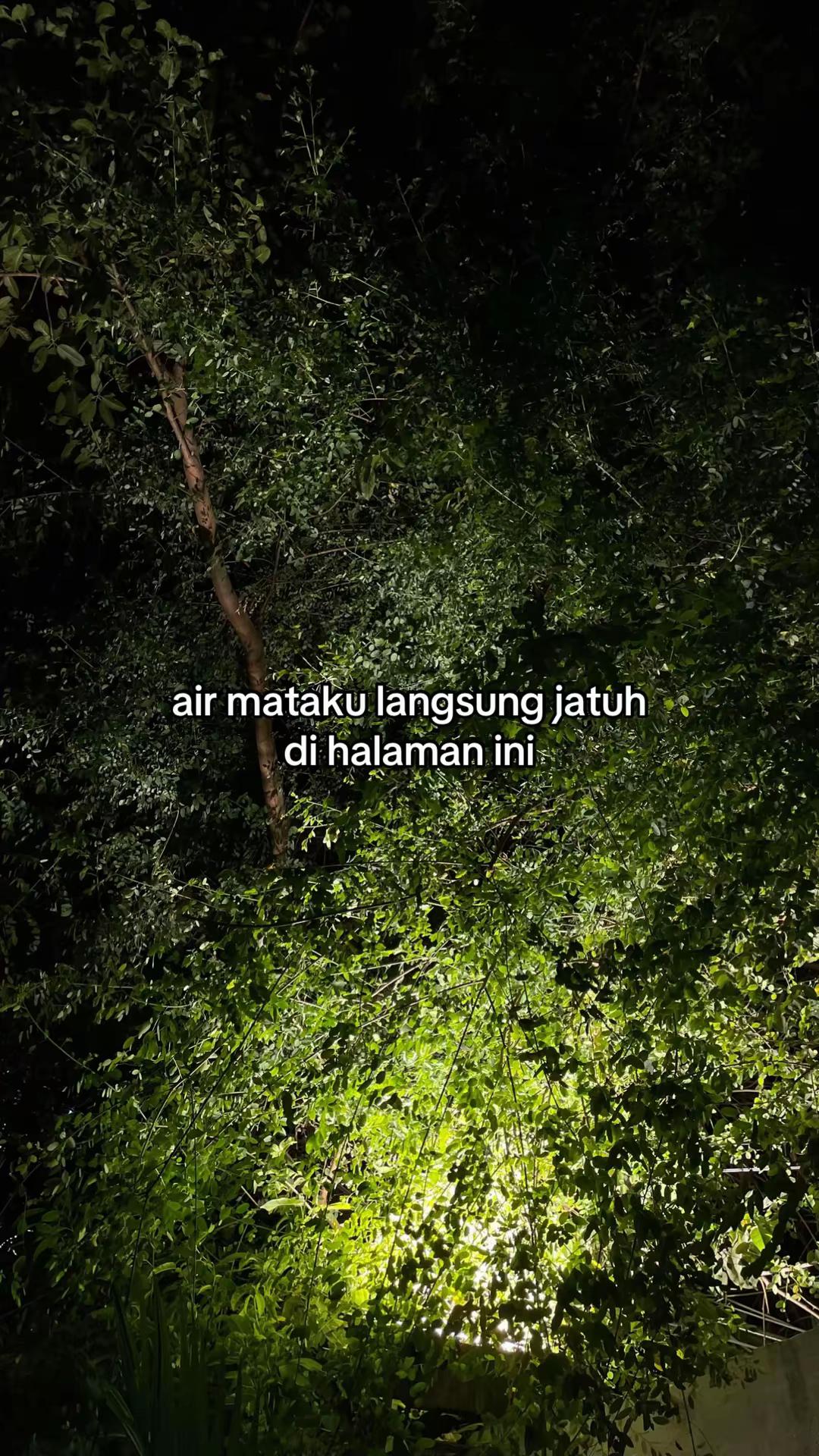 @Umar Nawir