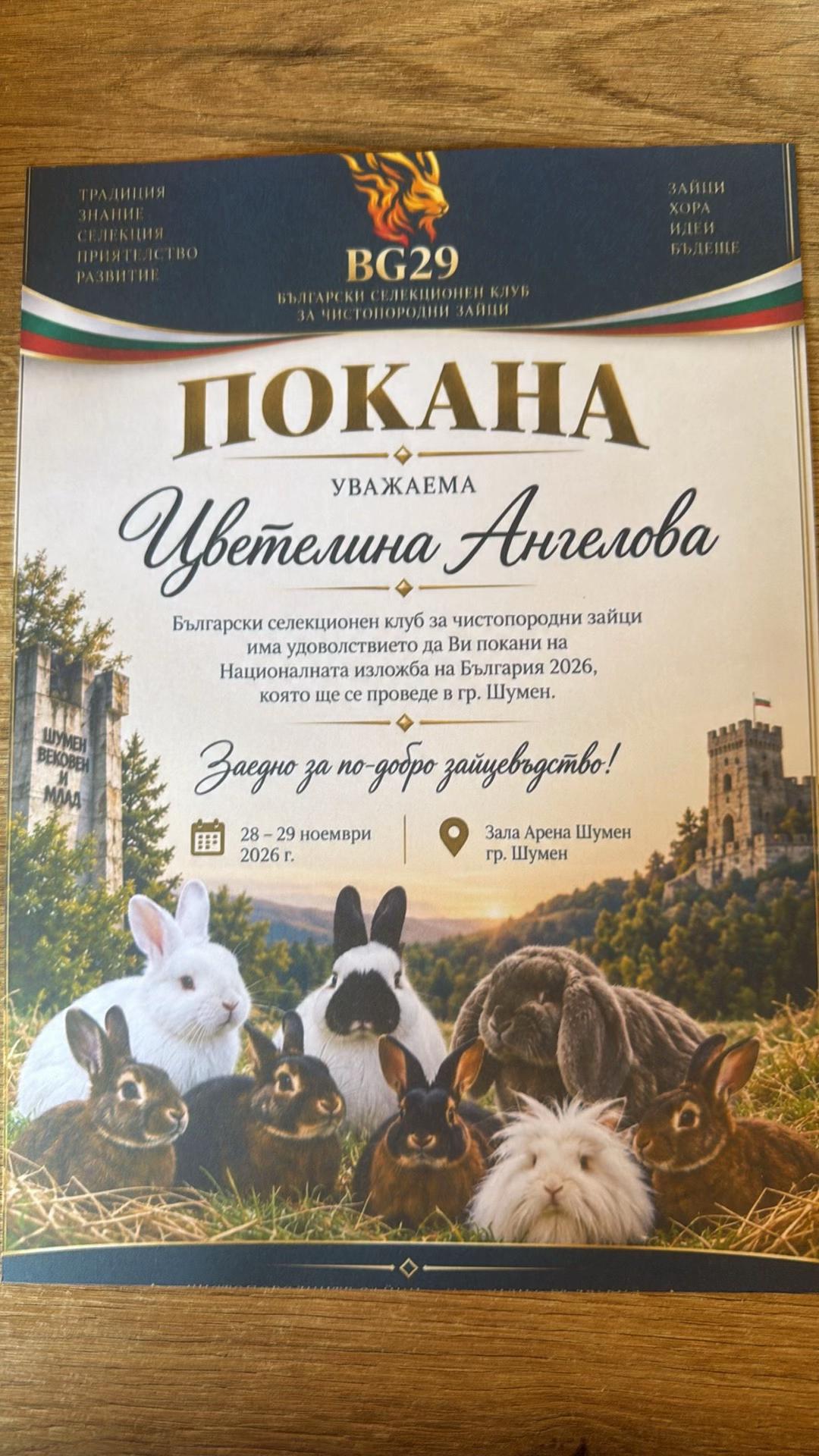 @Cvetirabbitvet