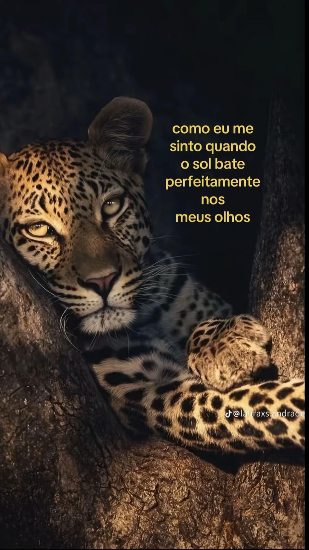 @Júlia